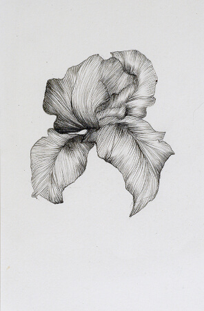 iris-artiste-laurence-gossart-6