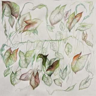 thème chlorophylle artiste laurence gossart