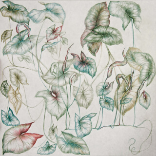thème chlorophylle dessin de gossart