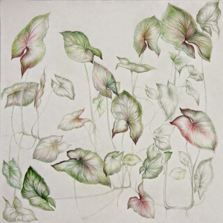 dessin floral coloré artiste laurence gossart