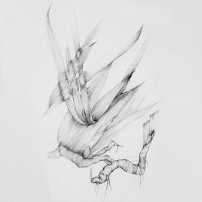 thème des racines dessiné par Laurence Gossart