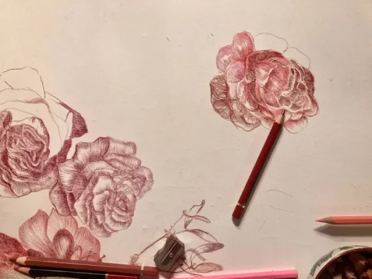 esquisses de roses par Laurence Gossart, dessinatrice, plasticienne, créatrice de bijoux, talentueuse et débordante d imagination