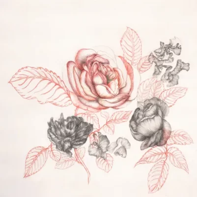 dessin de roses au crayon, esquisse, par Laurence GOSSART, dessinatrice sur toile