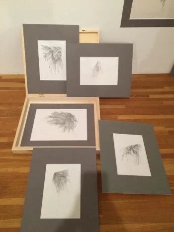 esquisses de Laurence Gossart, pluie de plumes, dans des cadres