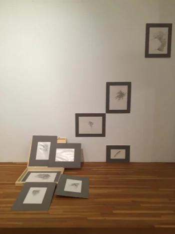cardes de pluie de plumes, chez Laurence Gossart