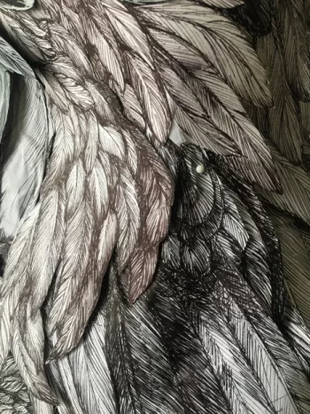 gros plan sur la pluie de plumes, dessinée par laurence Gossart